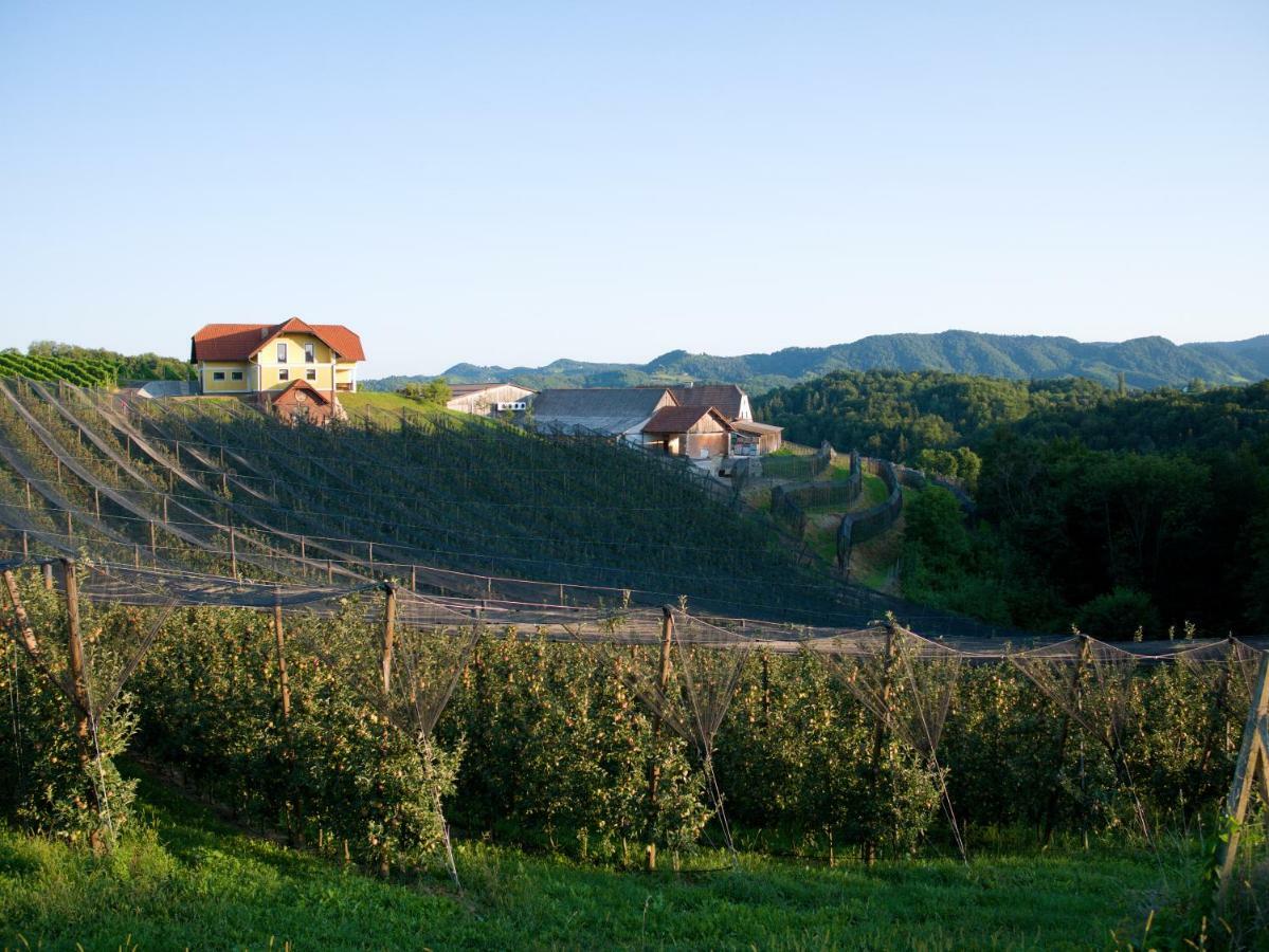 Holiday Home Winzerhaus Eva Spicnik Exteriér fotografie