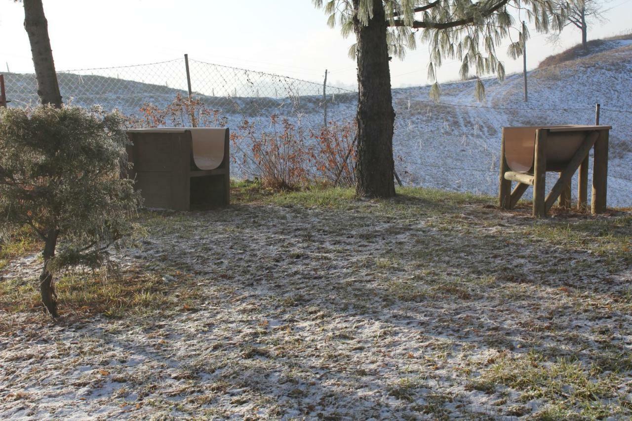 Holiday Home Winzerhaus Eva Spicnik Exteriér fotografie